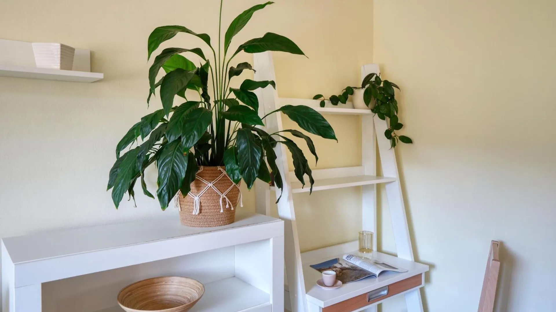 Apartmani Ana 10 Min. Hoda Od Centra Trogira 0*, Trogir